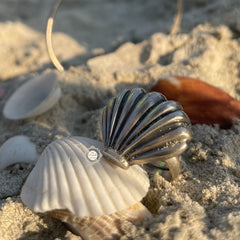 Memories Sea Shell Ring
