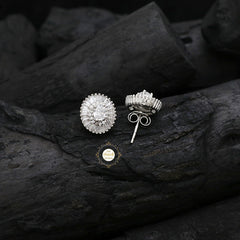 Sparkling Silver Glamour Classic Earring