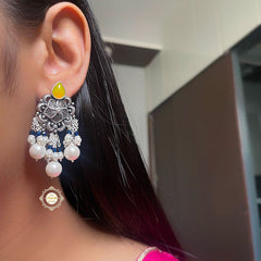 Utsav Exquisite Chic Choker Necklace With Earring