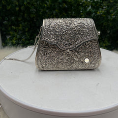 Enchanting Silver Purse